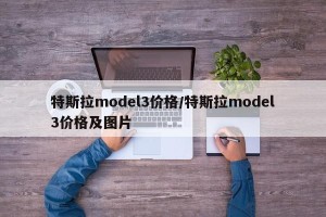 特斯拉model3价格/特斯拉model3价格及图片