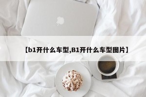 【b1开什么车型,B1开什么车型图片】