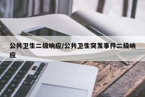 公共卫生二级响应/公共卫生突发事件二级响应