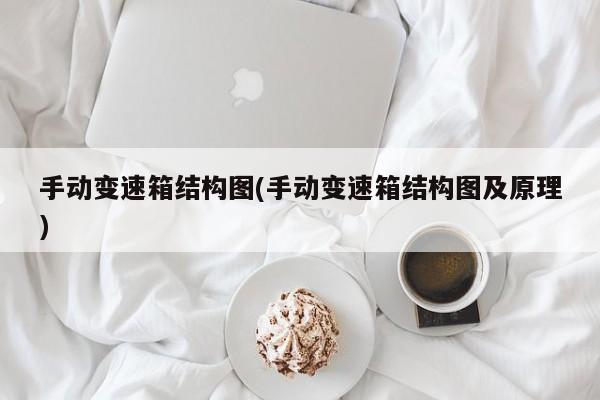 手动变速箱结构图(手动变速箱结构图及原理)