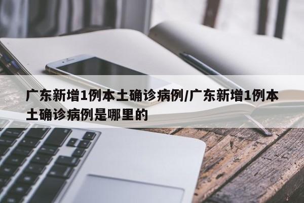 广东新增1例本土确诊病例/广东新增1例本土确诊病例是哪里的